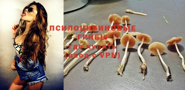 герыч Верхний Тагил