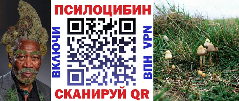 Галлюциногенные грибы ЛСД Тобольск